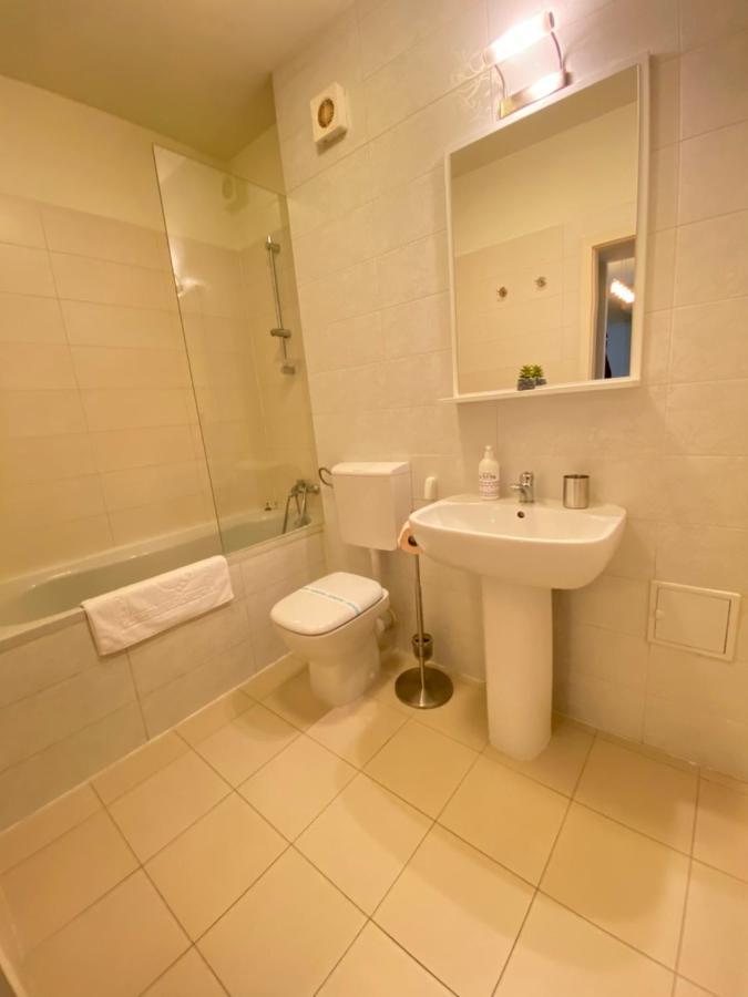 Alpha Apartment ブラショフ エクステリア 写真